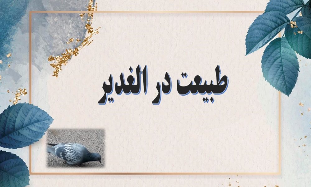 طبیعت زیبای دبیرستان الغدیر کاشان