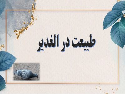طبیعت زیبای دبیرستان الغدیر کاشان