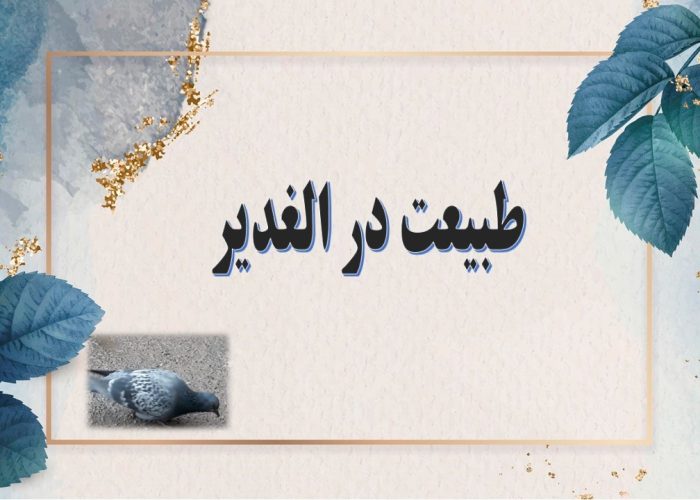 طبیعت زیبای دبیرستان الغدیر کاشان